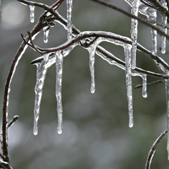 The Icicle Garden