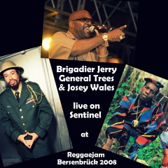 Sentinel ft Brigadier Jerry, General Trees & Josey Wales at Reggaejam Festival, GER, 2008