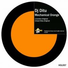 Dj Ditu - Caroline (House Lab)