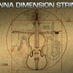 Dimension String Test 2