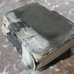 Grant Horner Bible Reading Plan Interview 2 of 2