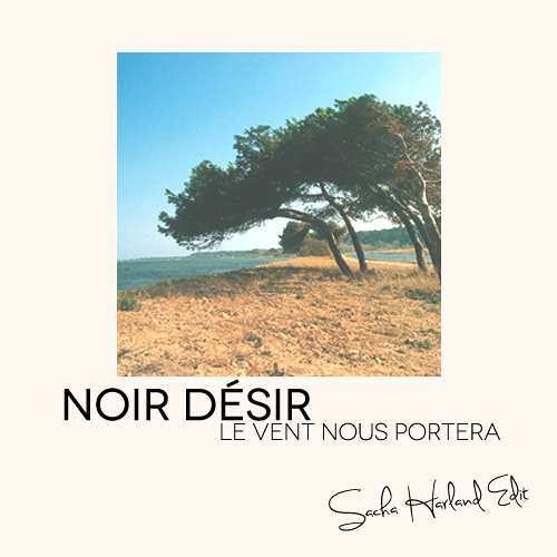 Stream Noir Désir - Le Vent Nous Portera (Sacha Harland Edit) by Sacha  Harland | Listen online for free on SoundCloud
