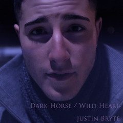 Dark Horse / Wild Heart - Katy Perry & The Vamps (Cover by Justin Bryte)