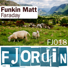 Funkin Matt - Faraday
