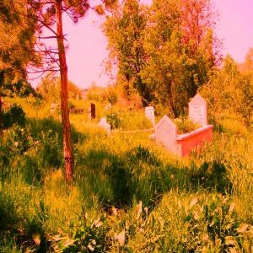 Natürel Seleksiyon Beşlisi - Bir Ağaç Dibinde Yatsam (Wang Yu Mix)