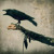 Artwork for Ability to Change (Mama Crow w/ Band of Mystics)