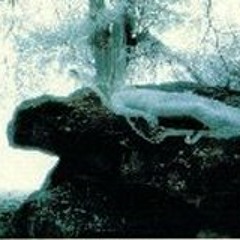 L'Initiation par le Rêve (Partie 2)
