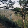 Mountain Sound Mp3