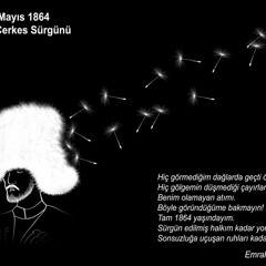 Abhazya Devlet Korosu