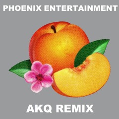 Phoenix - Entertainment (AkQ Remix)