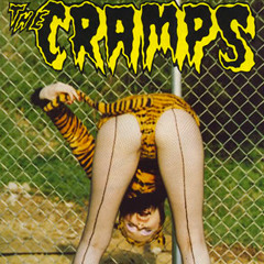 The Cramps - What's inside a girl?