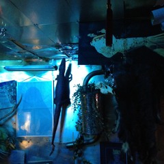 hatanaka masaru field note