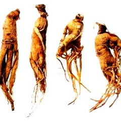 The Ginseng