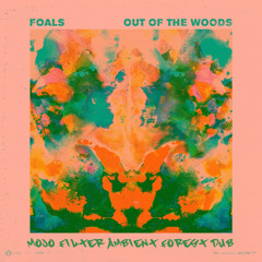 Foals ~ Out of the Woods (Mojo Filter Ambient Forest Dub)