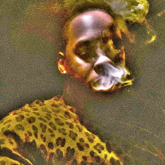 Smoke got me thinking (HEAVYTRAPPERZ)-MONTANA WAY