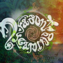 Dragon Dreaming Festival 2013 Live Psy Set