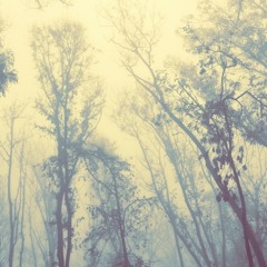 Skinny Love - Bon Iver Cover