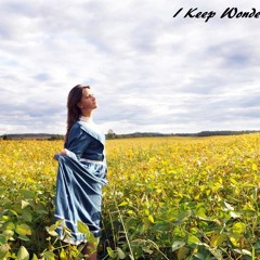 Sebx - I keep wondering why