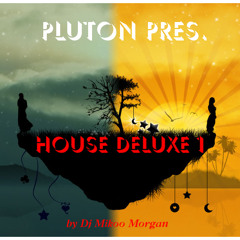 Pluton Pres. House DeLuxe 1