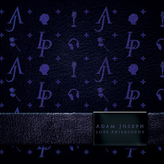 Adam Joseph - What's A Lover To Do