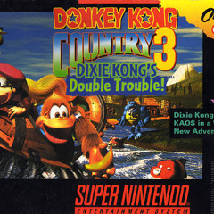 Donkey Kong Country 3 - Hot Pursuit