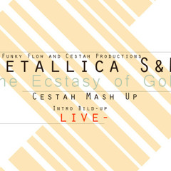 Metallica S&M live - The Ecstasy of Gold ( Rolling Darker mix )