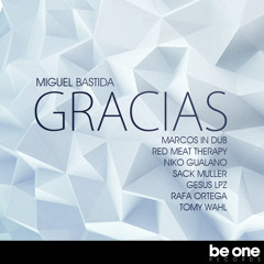 Miguel Bastida - GRACIAS (Original Mix)