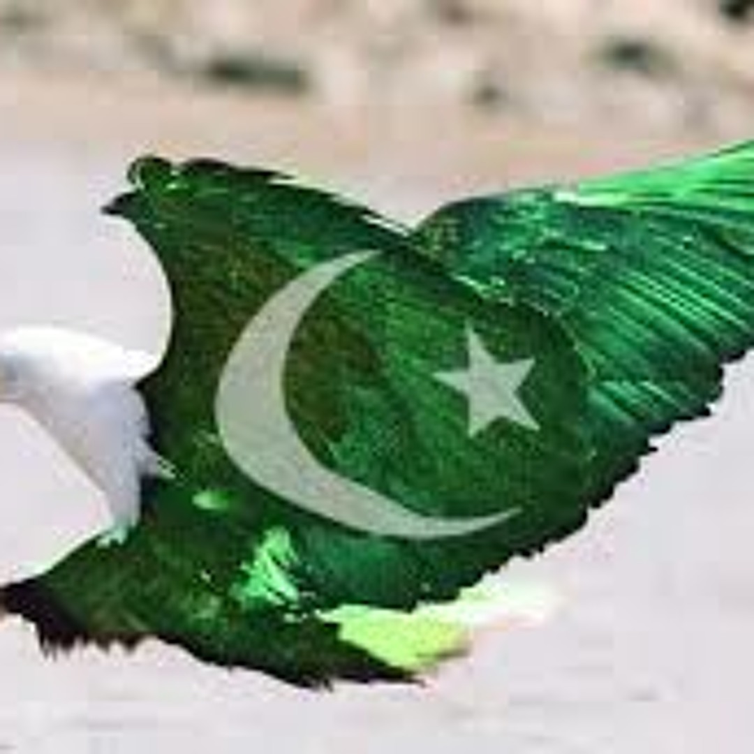 Stream Sohni Dharti Allah Rakhay By Shehnaz Begum by Awais Zahid Abbasi ...