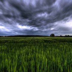 Najwa Nimri - Dead for you