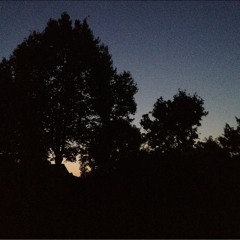 Dancing In The Moonlight