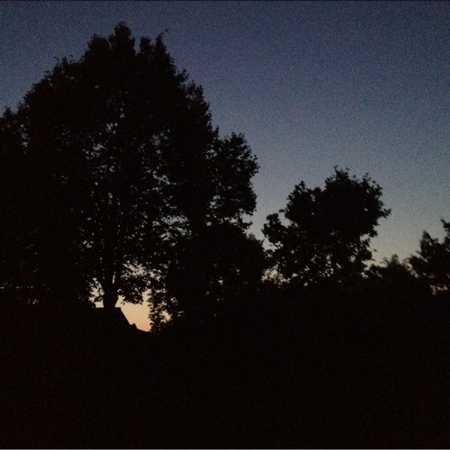 Dancing In The Moonlight