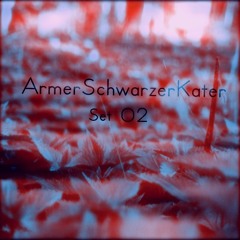 DieBasslineDesAlltags - ArmerSchwarzerKater Set 040214