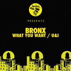 What You Want (Original Mix)[128kbps] Out Now On Nurvous!