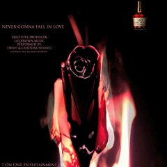 Never Gonna Fall In Love