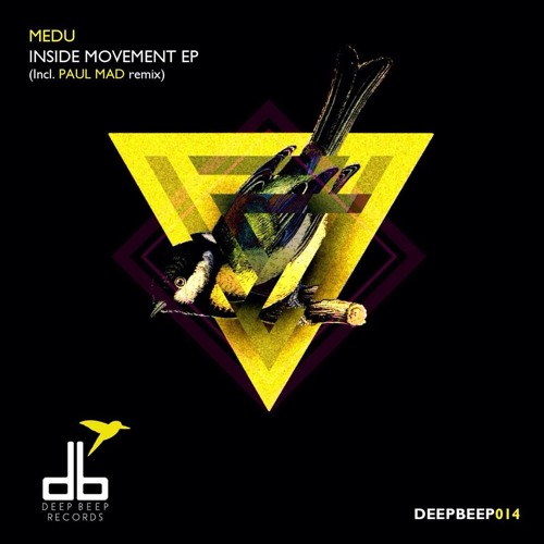 Medu - Inside Movement (Paul Mad Remix)