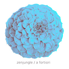 Zenjungle // a fortiori