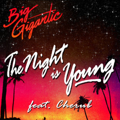 The Night Is Young (ft. Cherub)