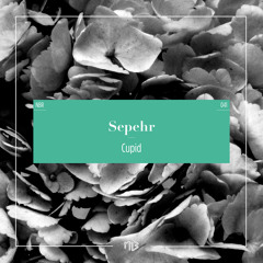 Sepehr - Cupid (Original Mix) (excerpt)
