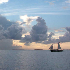 2. Sylphine Sails