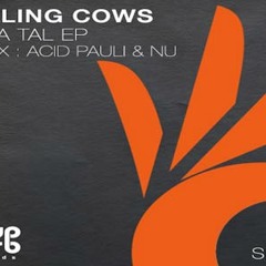 Falling Cows - Kara Tal (Acid Pauli & NU Remix)