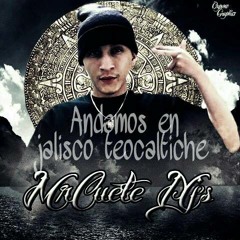 Andamos En Jalisco Teocaltiche - CueteNJS