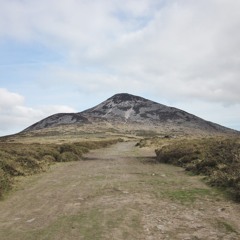 Amhrán An Dreoilín