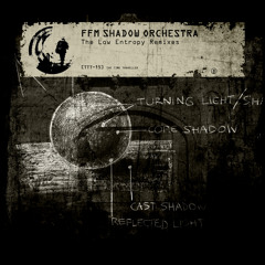 TTT-15 FFM Shadow Orchestra - D. N. Acid (Low Entropy Remix)