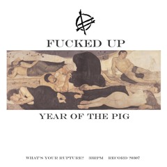 Year of the Pig