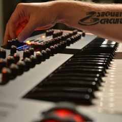 Prophet 12 - 80's/vintage Sound demo Snippets