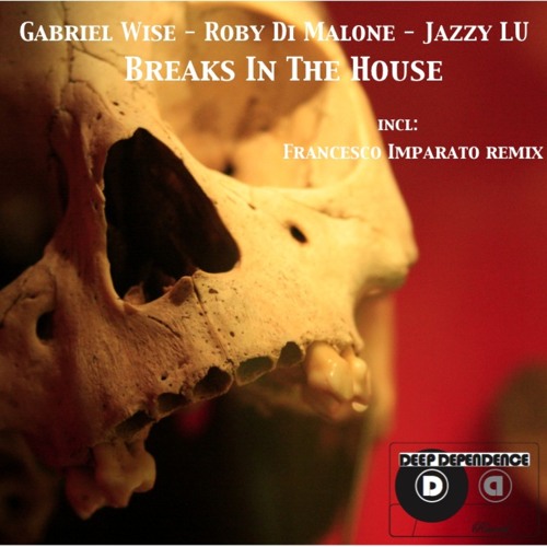 Gabriel Wise, Roby Di Malone, Jazzy Lu - Breaks In The House (Main Mix)