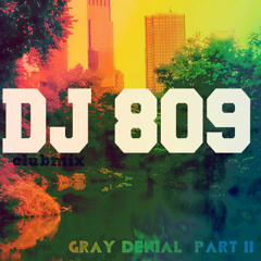 Gray Denial Pt 2 Dj 809 Remix