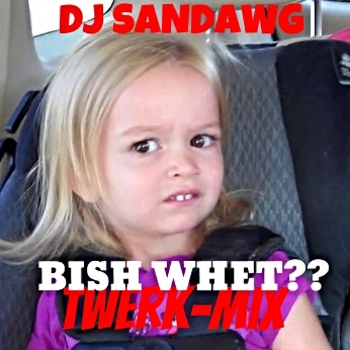 Bish Whet - Dj SanDawg {TWERK-MIX}