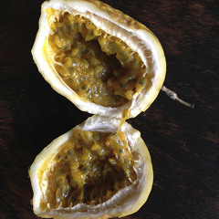 he was not a squirrel