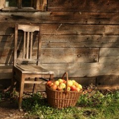 Collecting Dust (Original Mix)